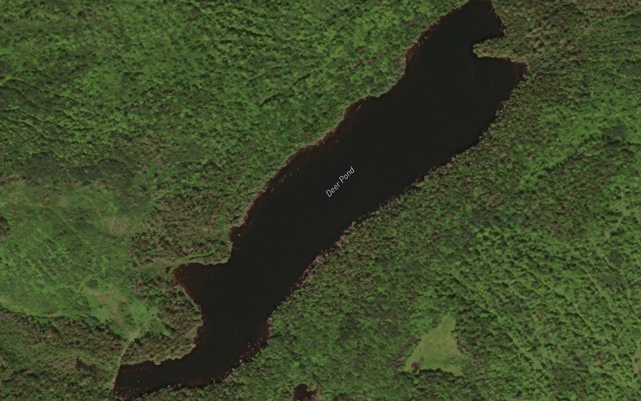 Deer Pond