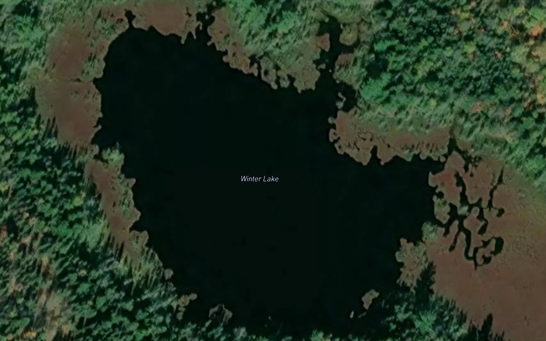 Satellite map of the Winter Lake