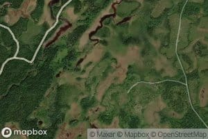 Little Junction Brook