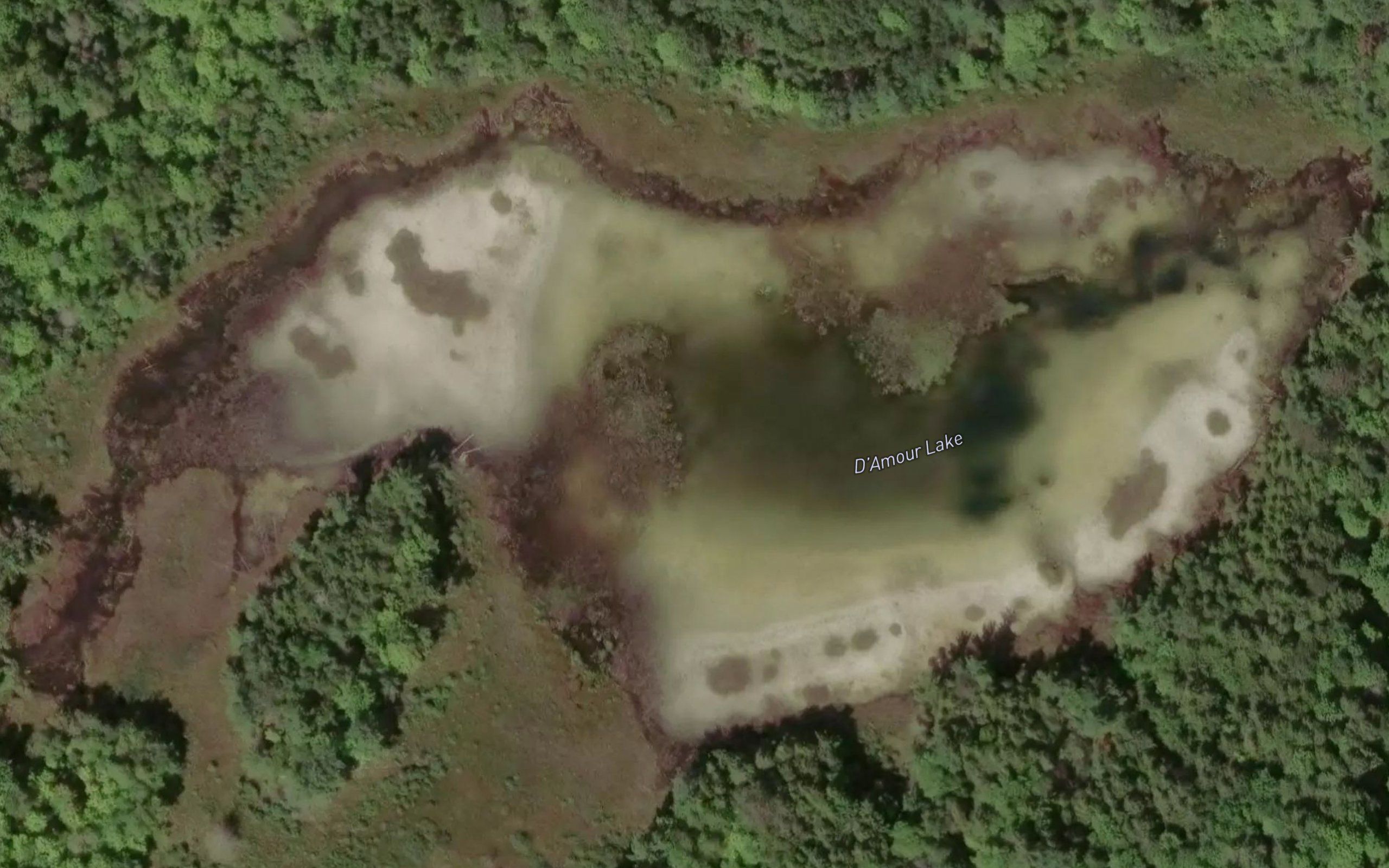 D'Amour Lake