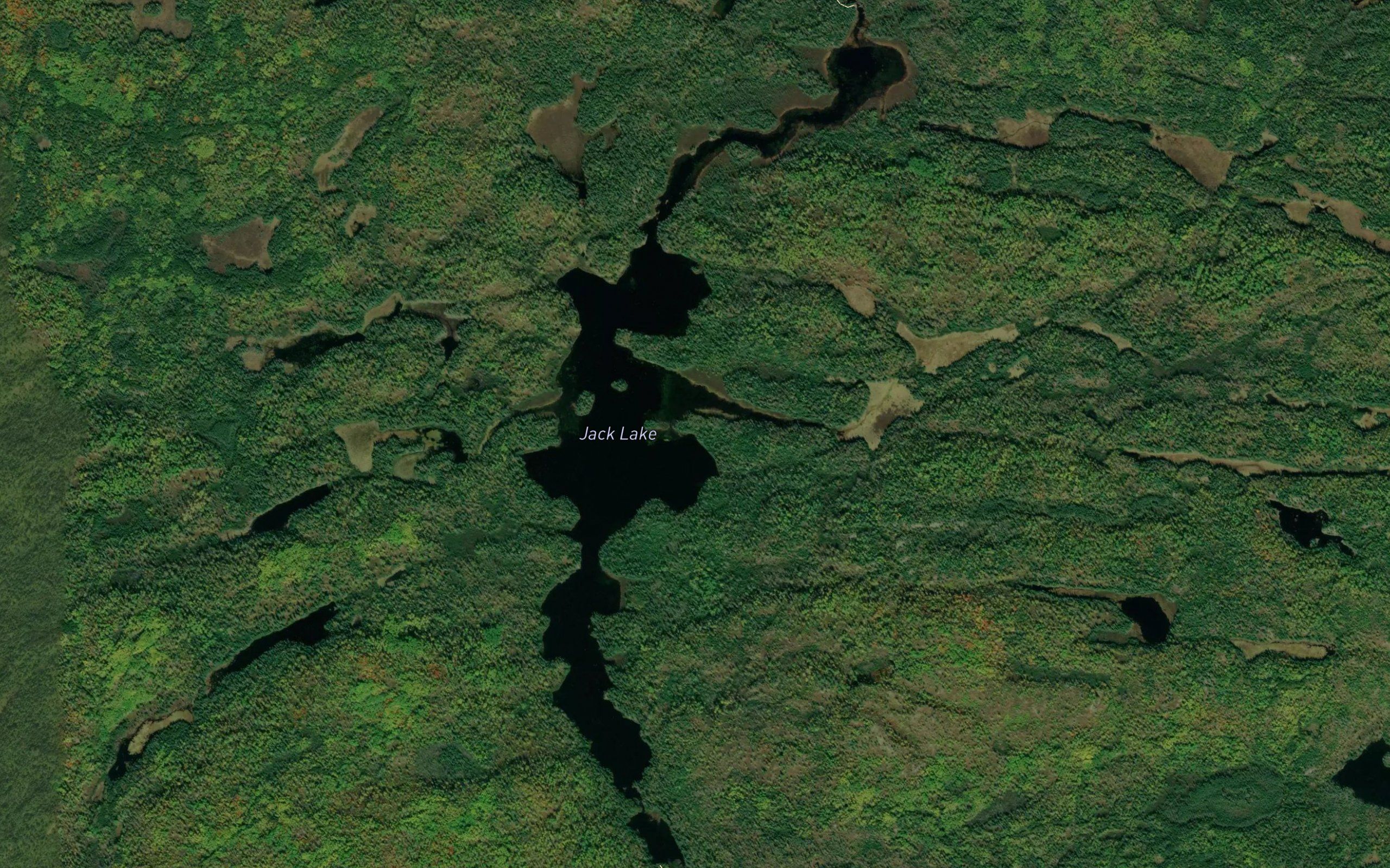 Jack Lake