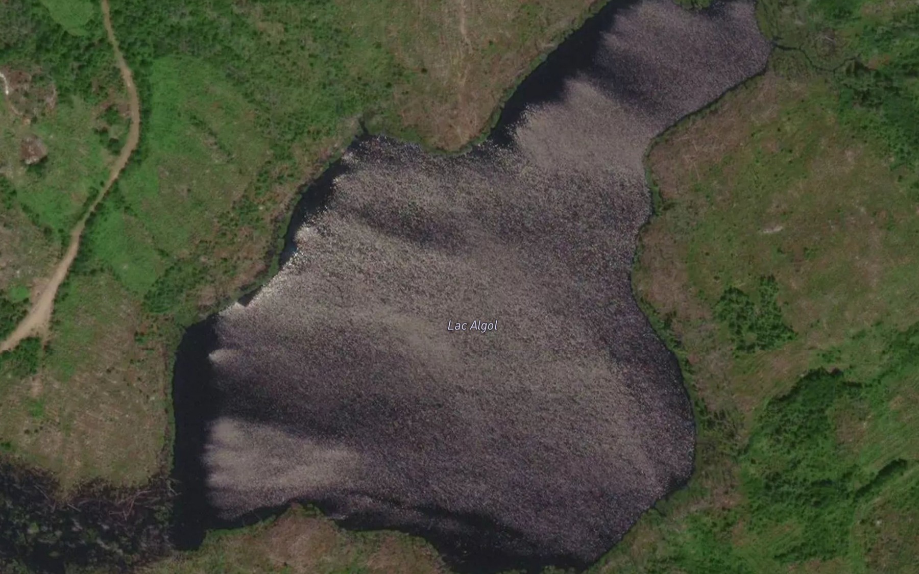 Satellite map of the Lac Algol