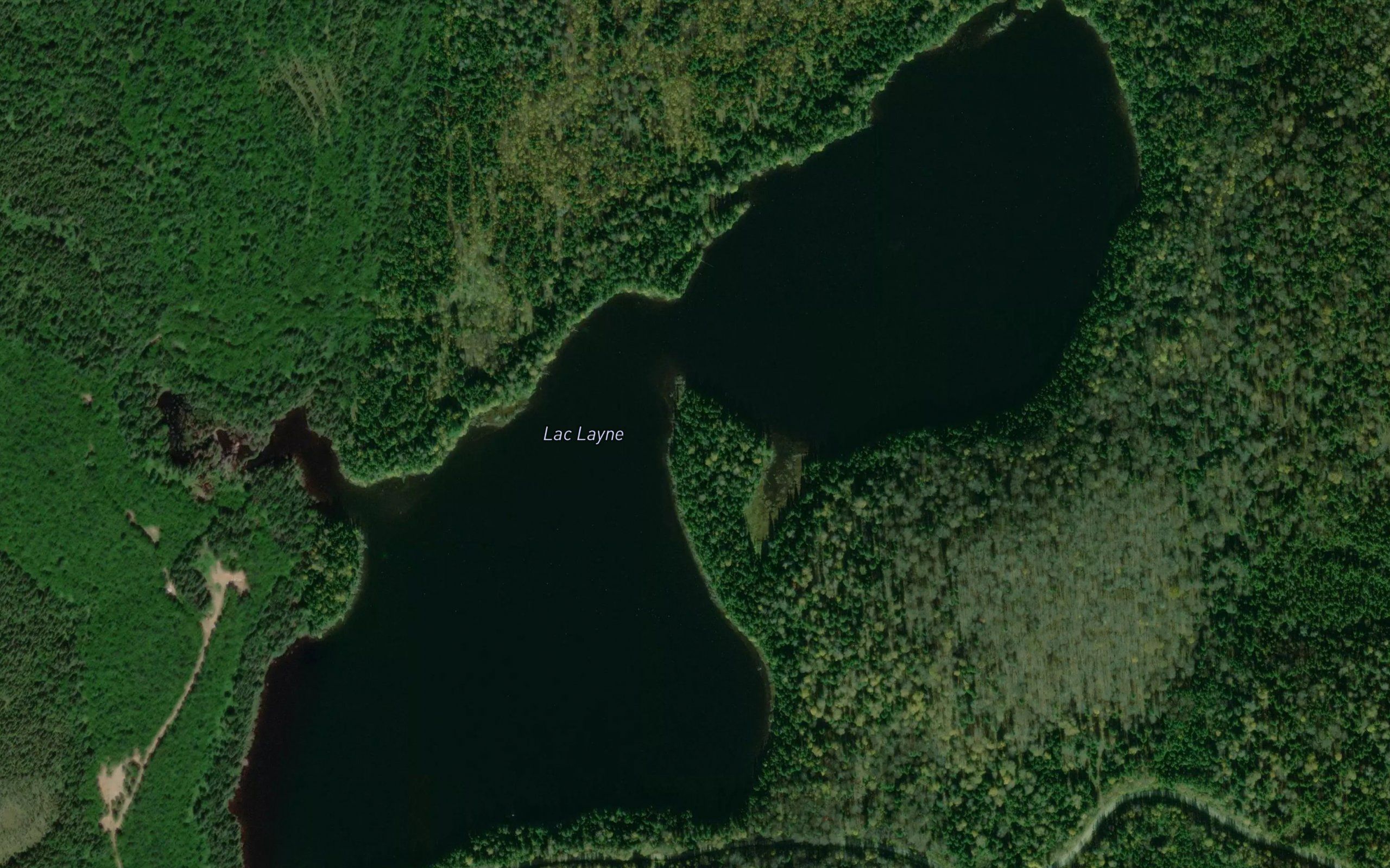 Lac Layne
