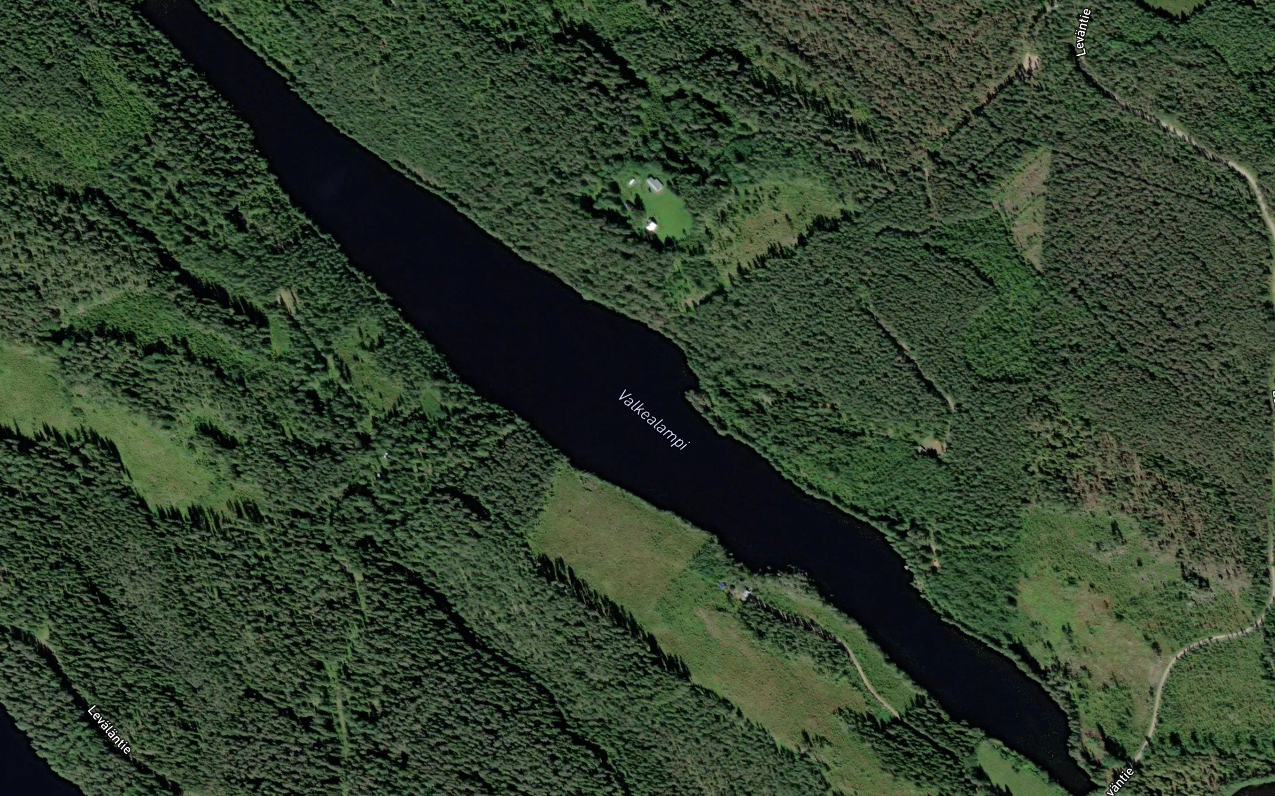 Valkealampi