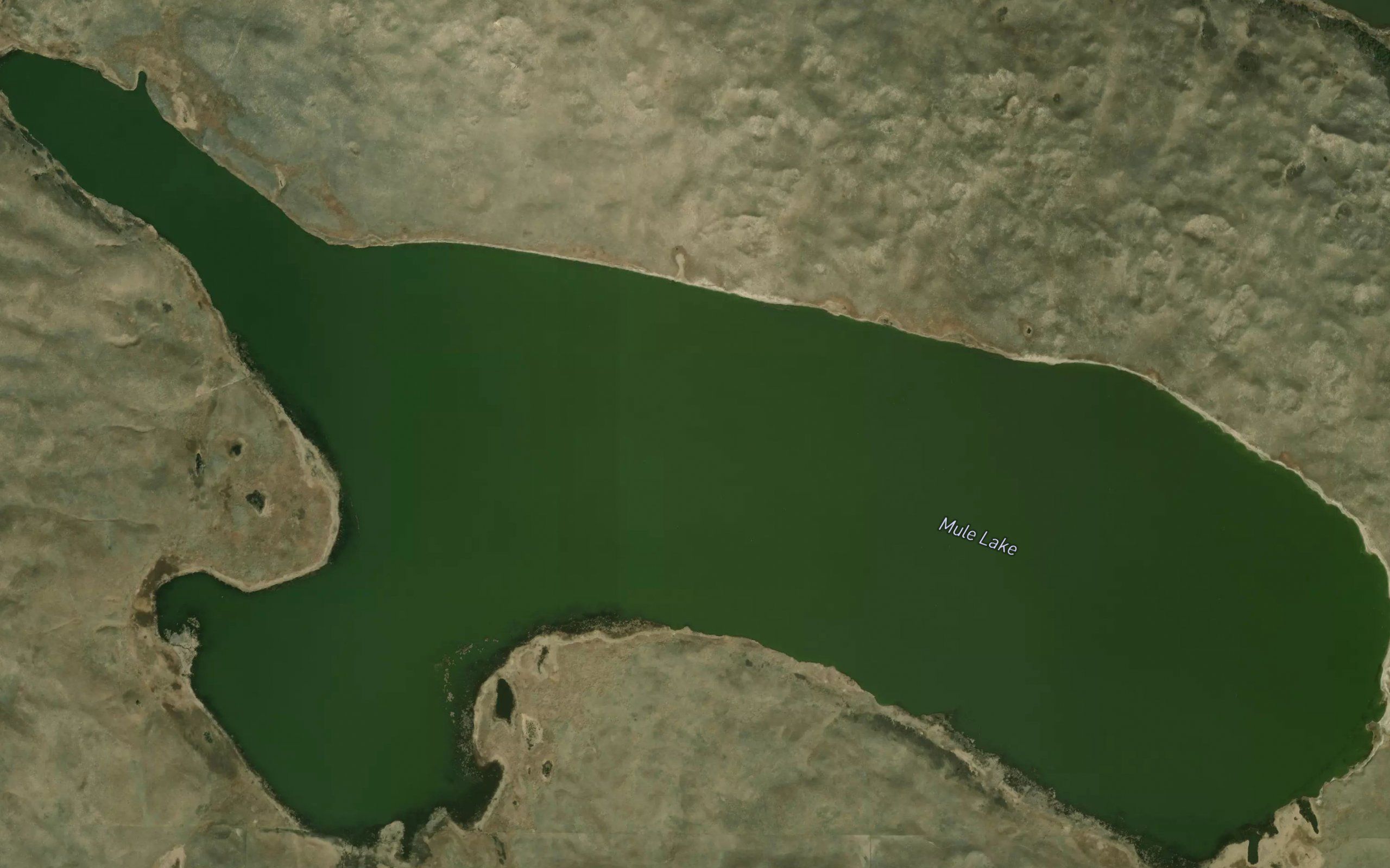 Mule Lake