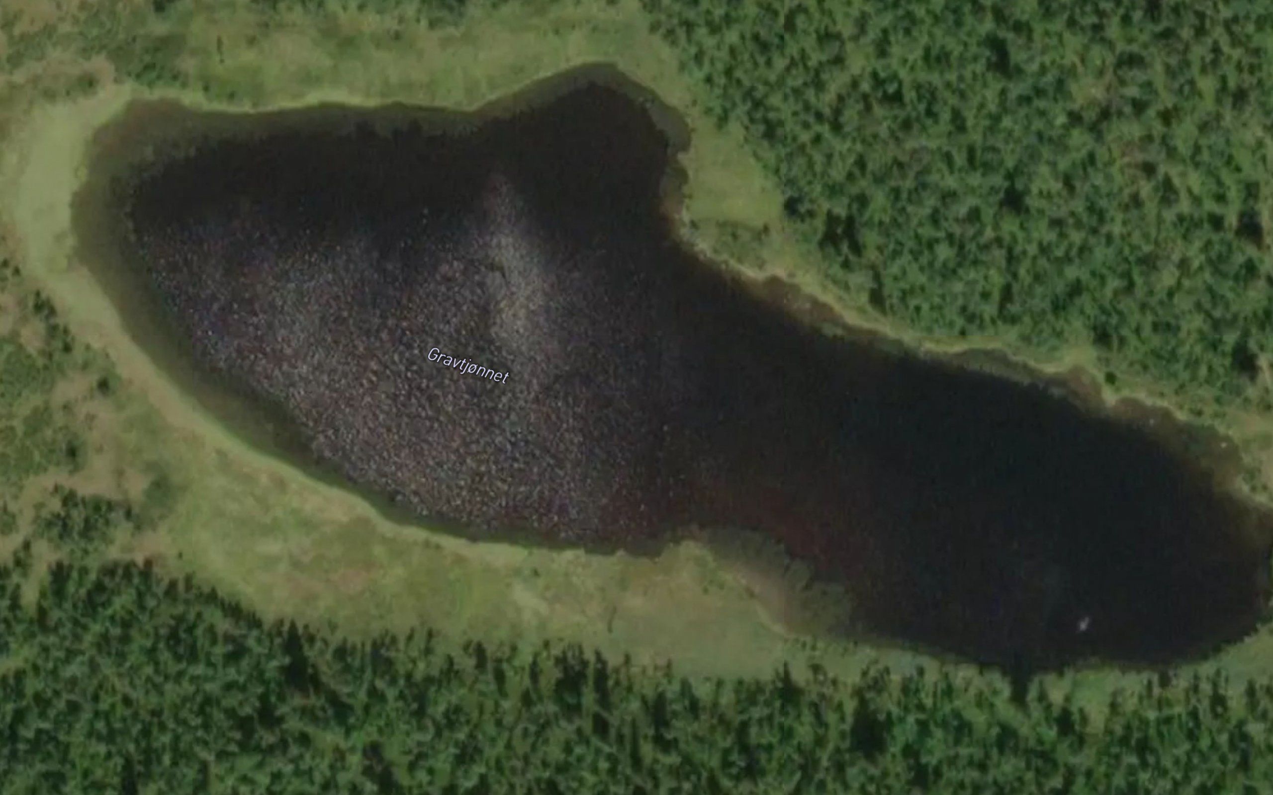 Gravtjornet