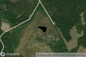 Bassbacktrasket