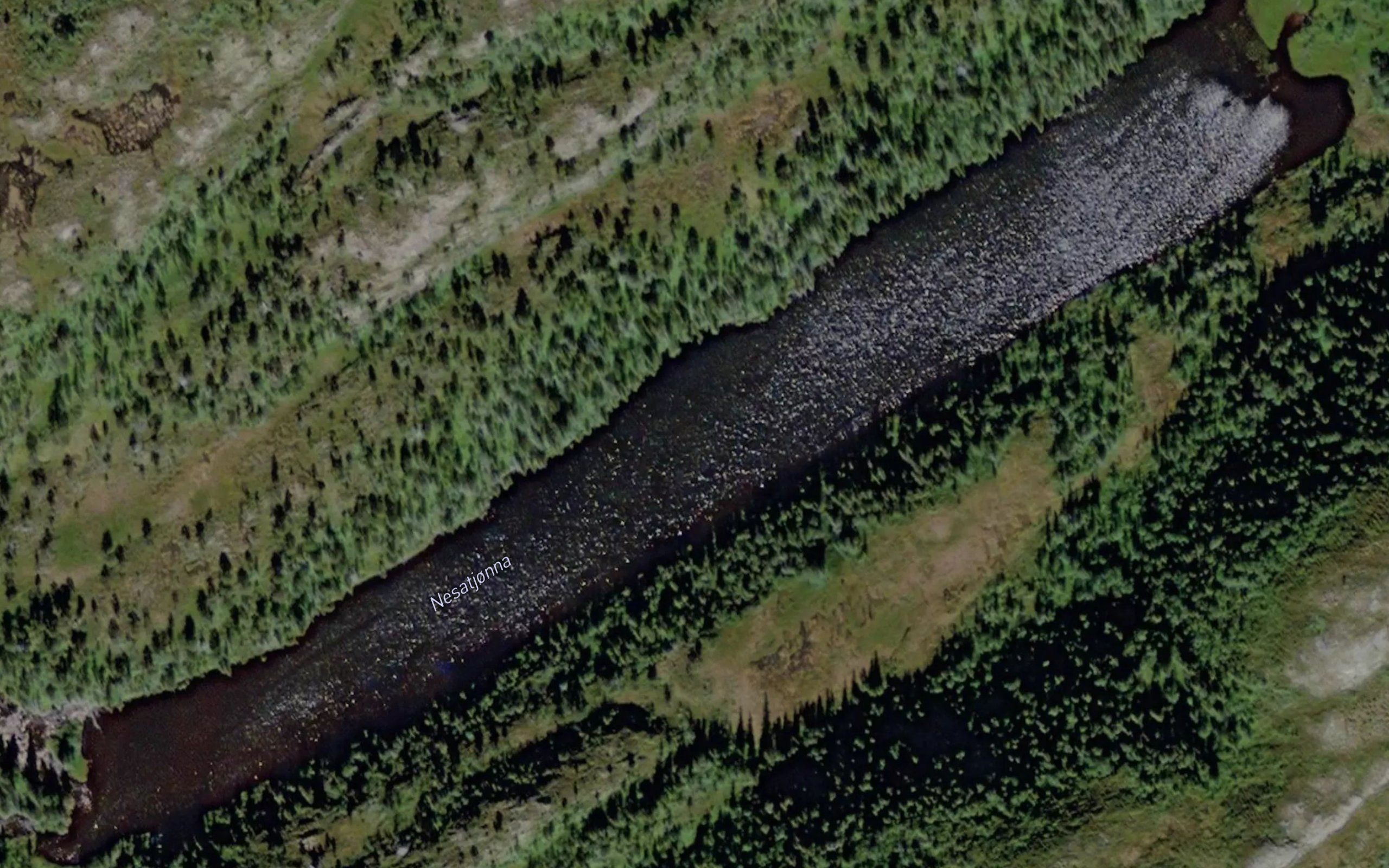 Nesatjorna