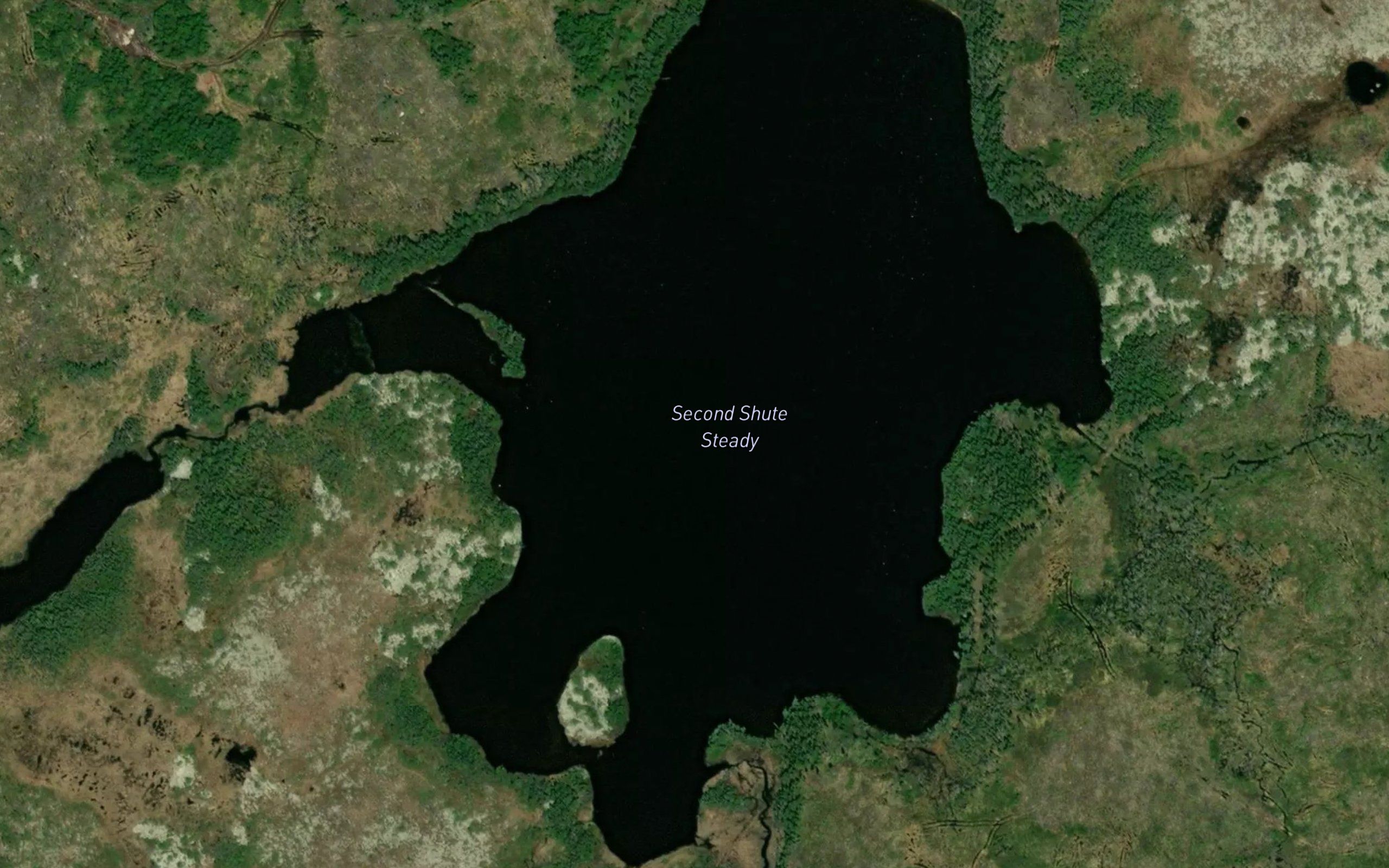 Lynx Pond