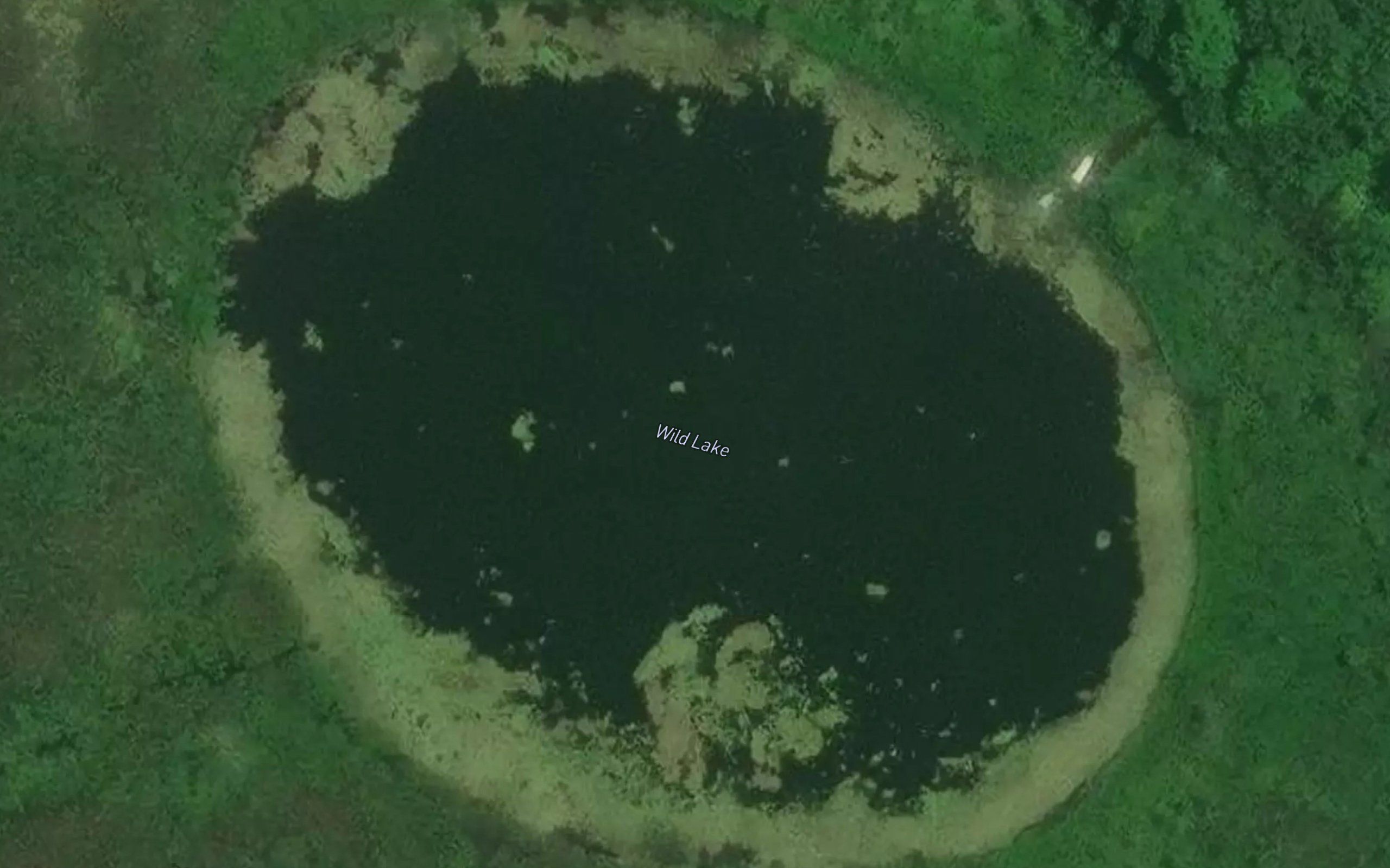 Wild Lake