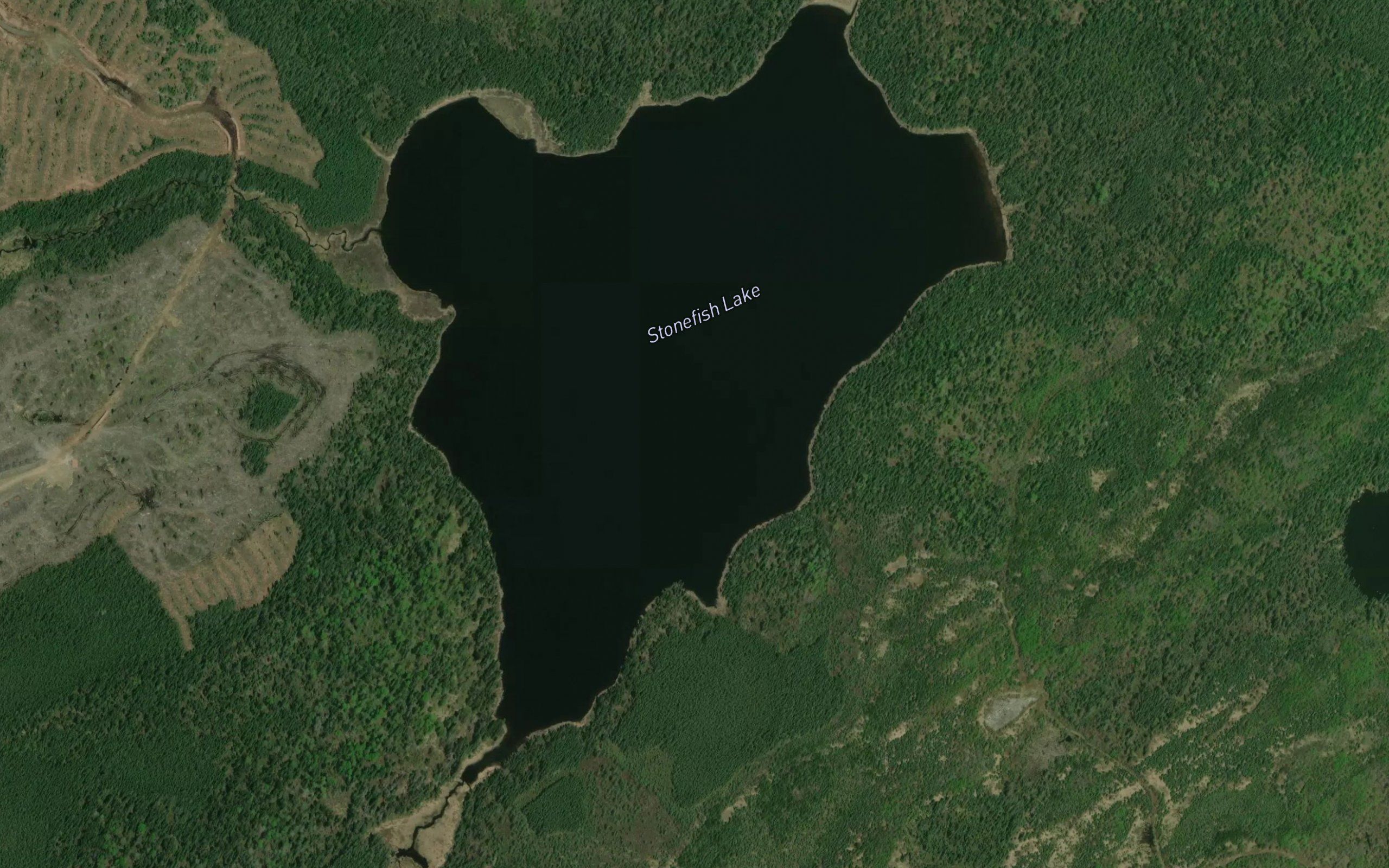Stonefish Lake