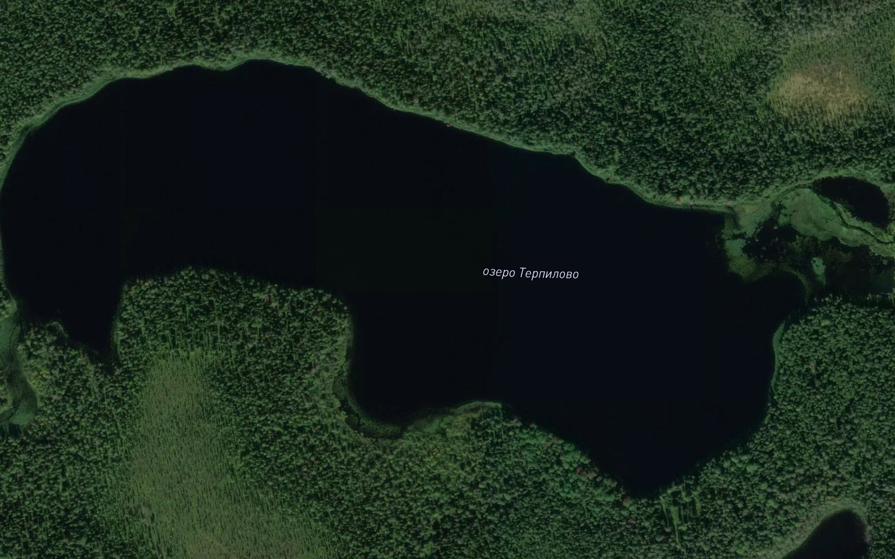 Satellite map of the Ozero Terpilovo