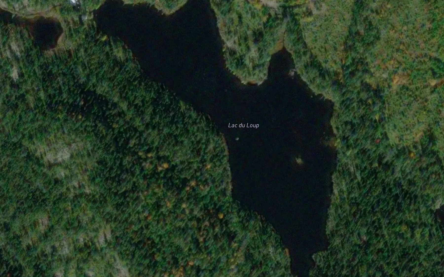 Satellite map of the Lac du Loup