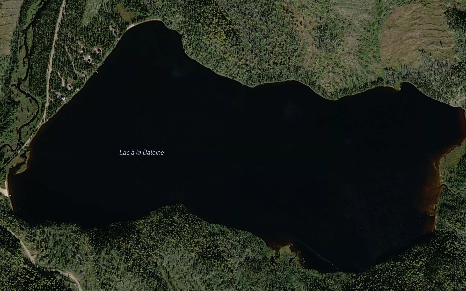 Satellite map of the Lac a la Baleine