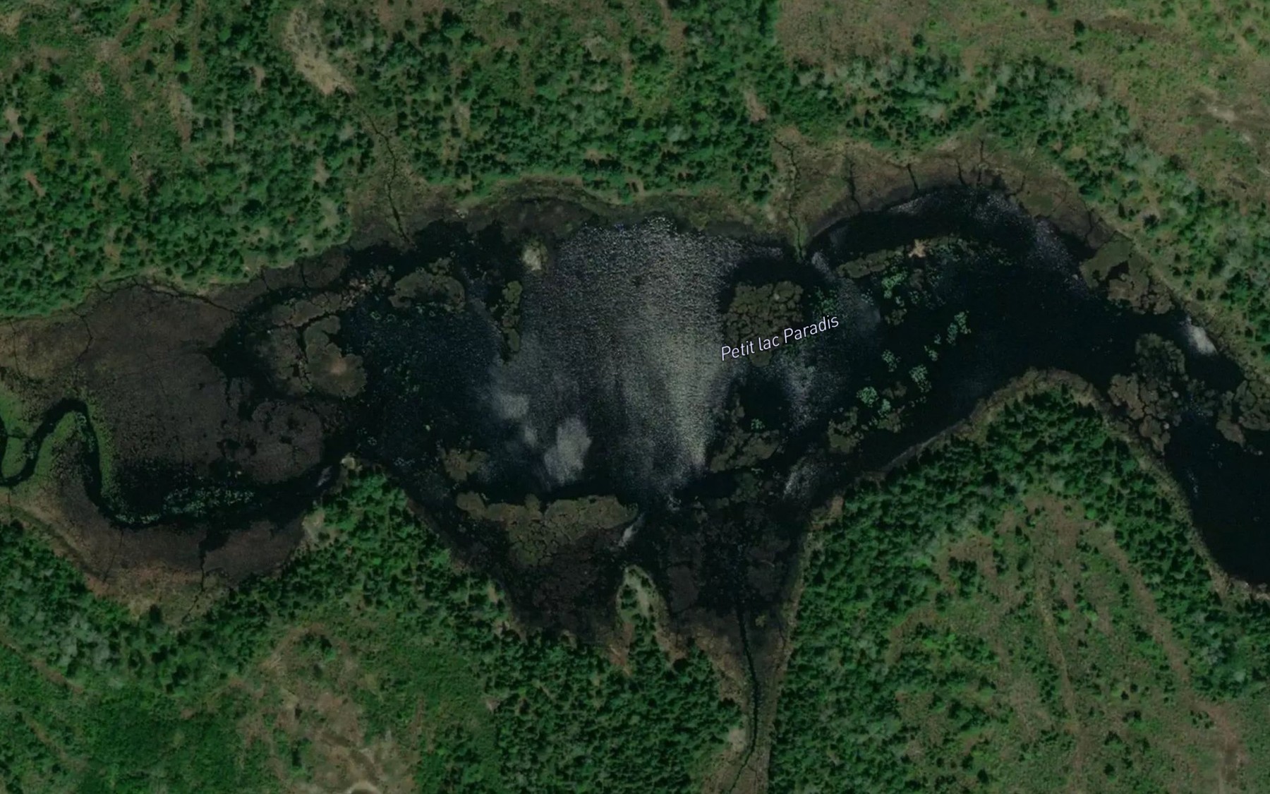 Satellite map of the Petit lac Paradis