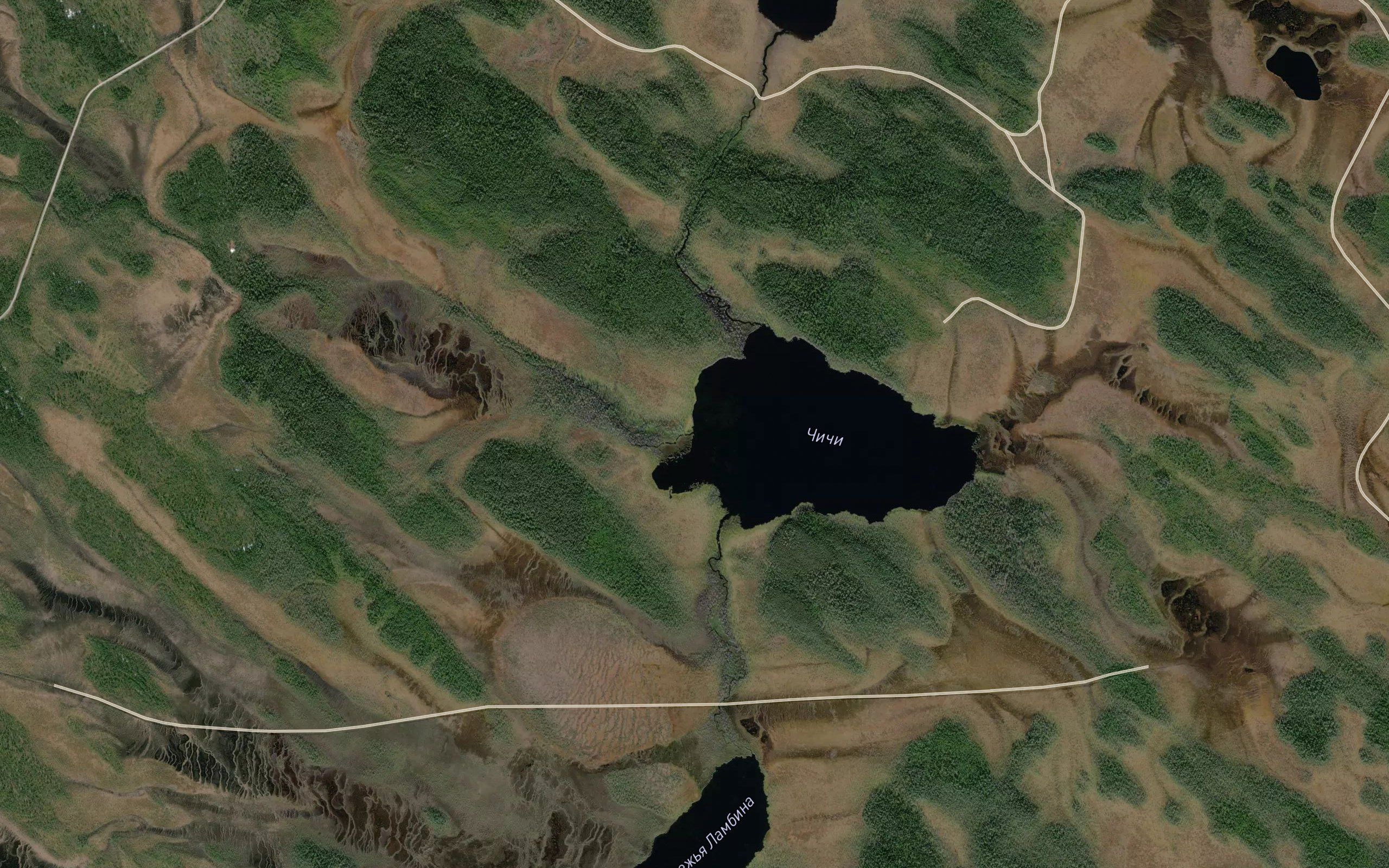 Shorvaoya