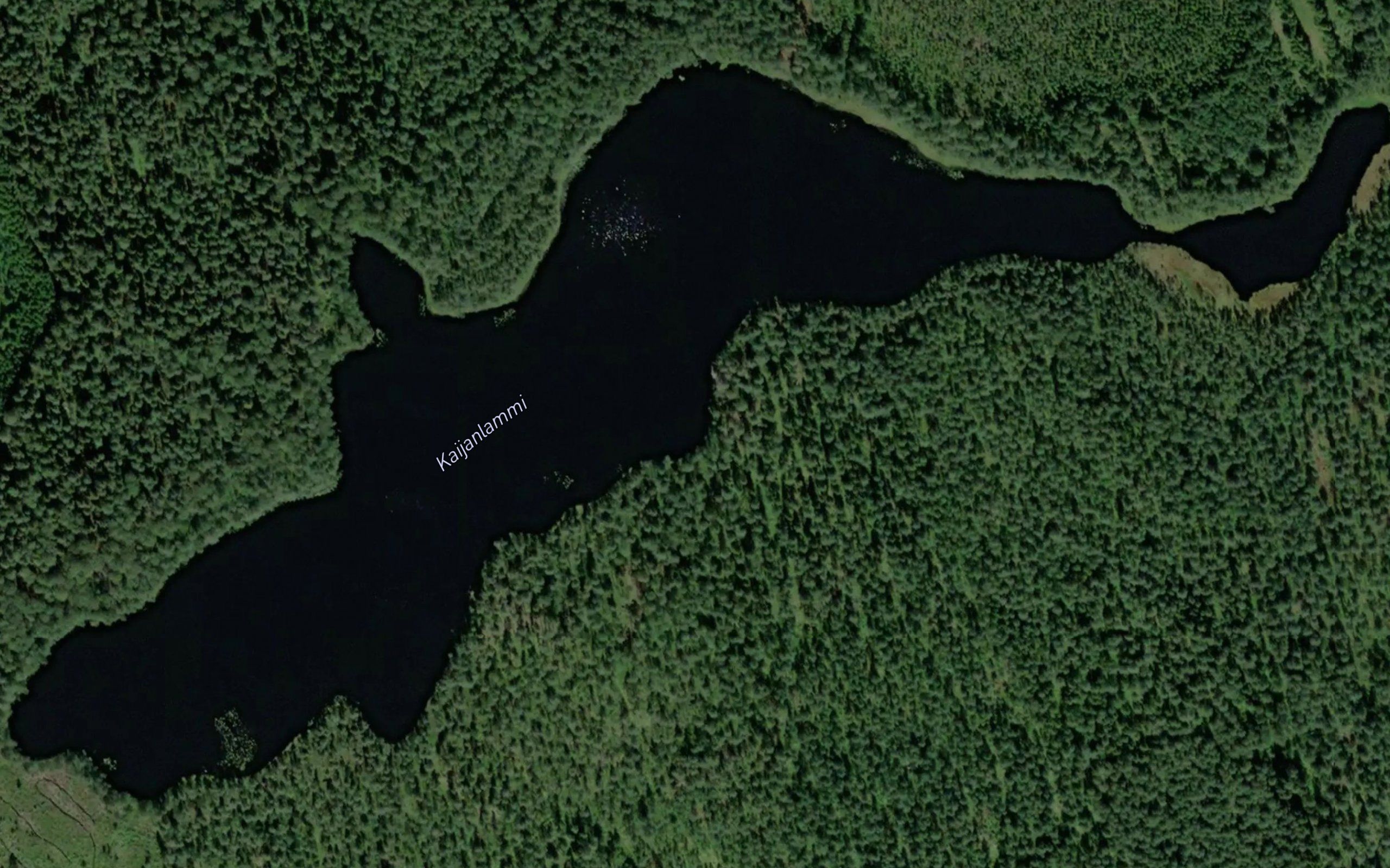 Kaijanlammi
