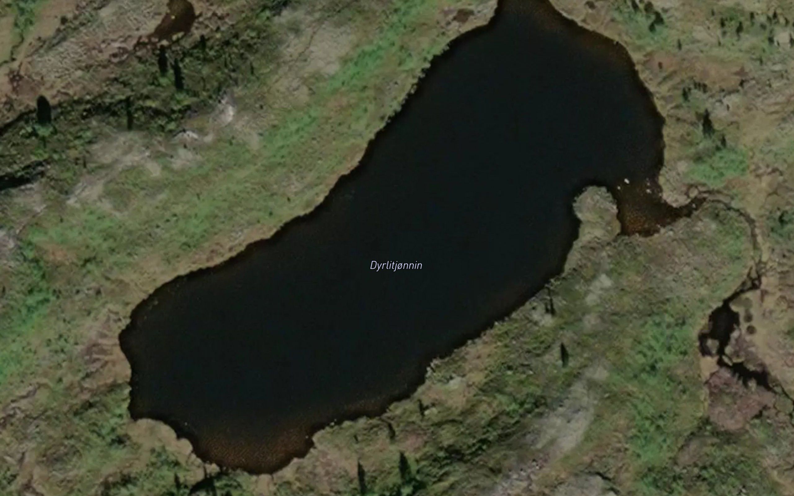 Dyrlitjornin