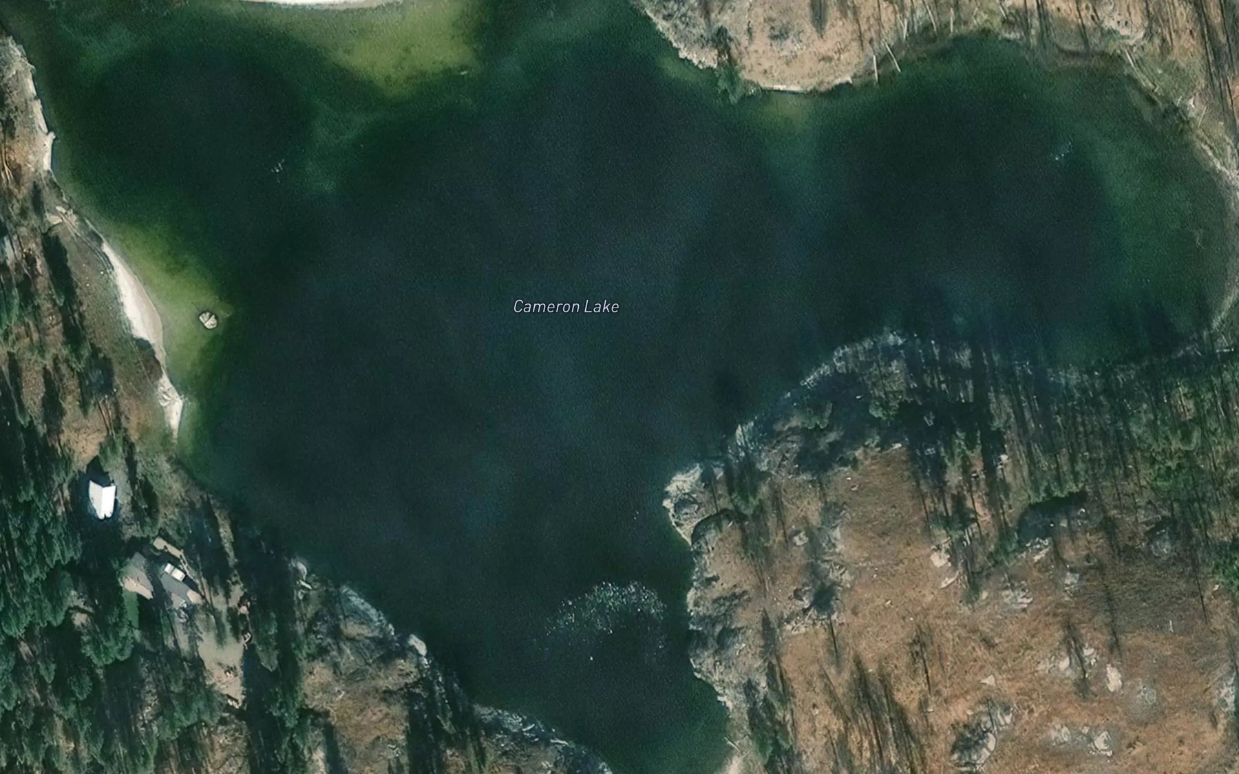 Satellite map of the Cameron Lake
