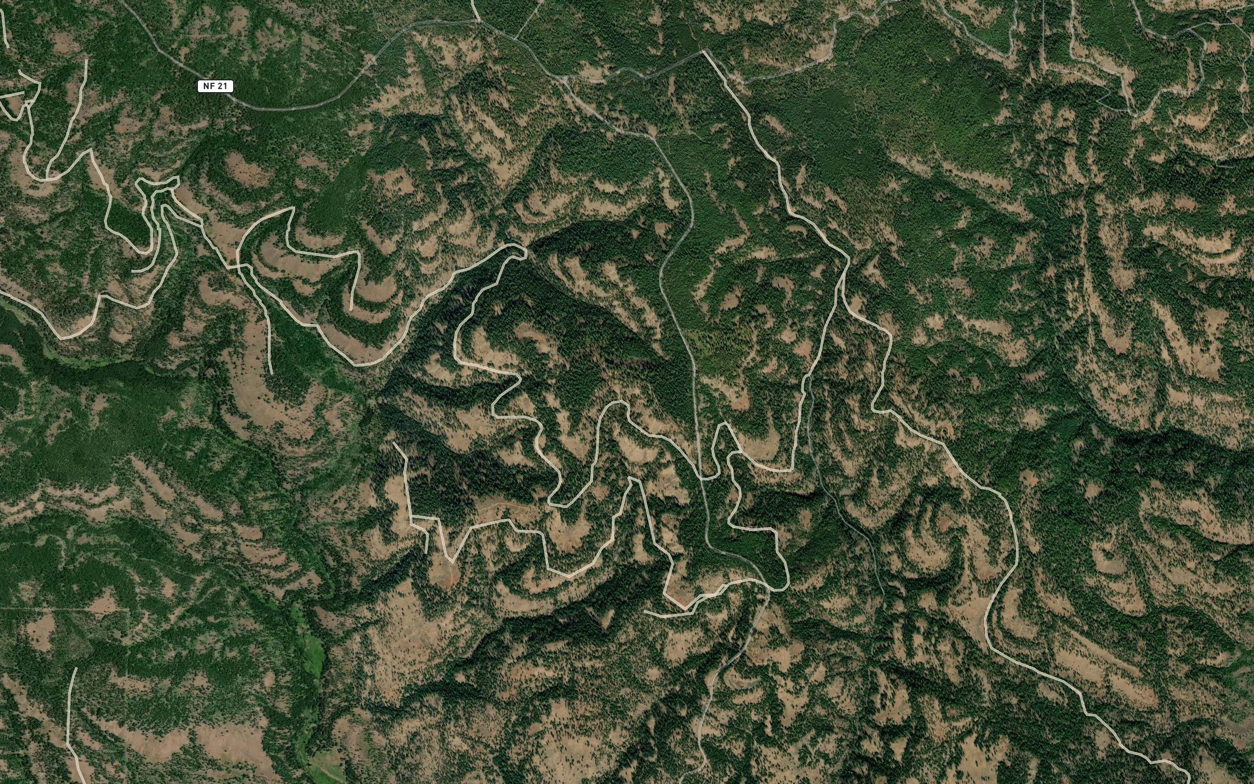 Coyote Spring