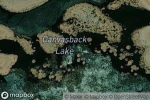 Canvasback Lake