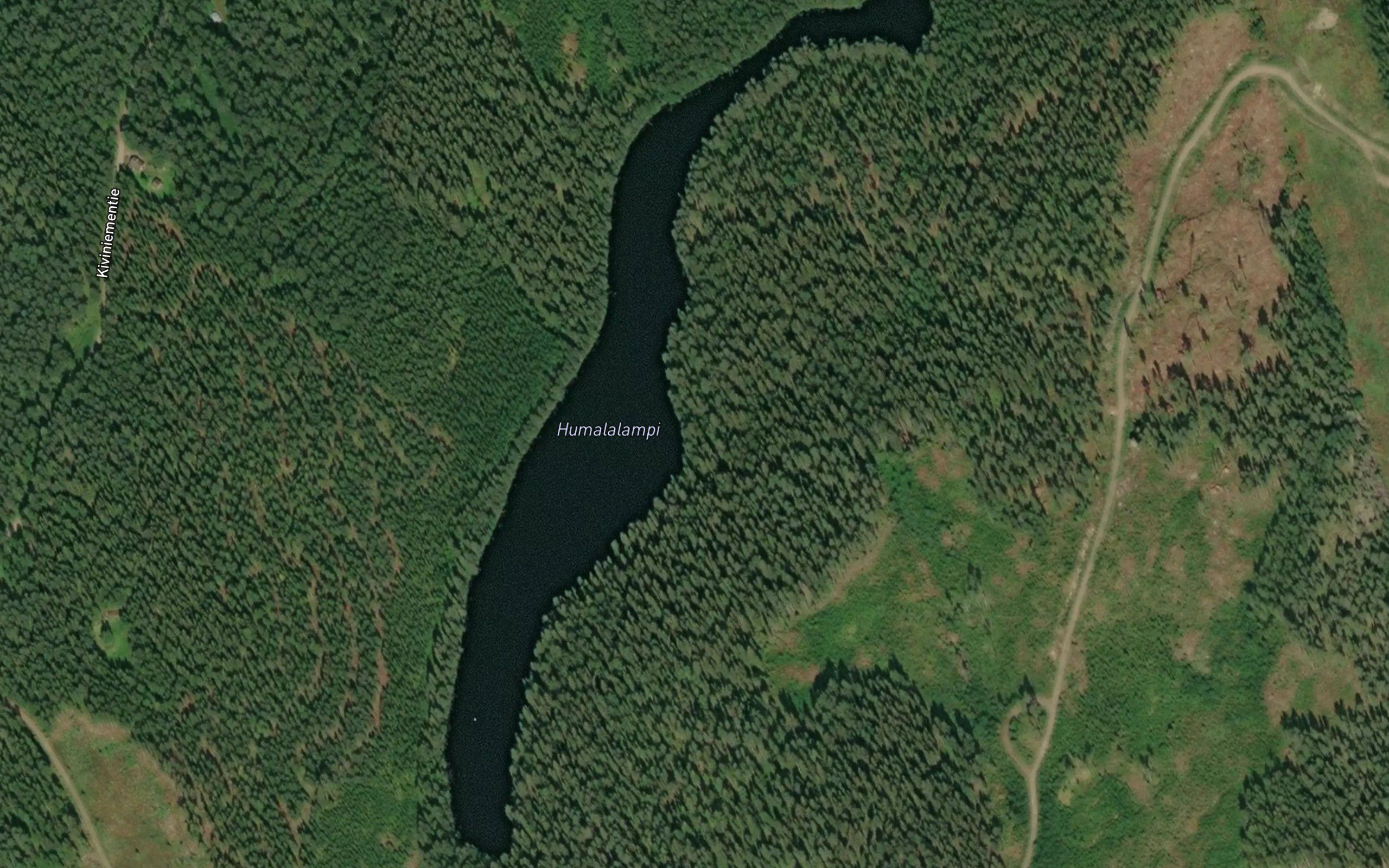 Humalalampi