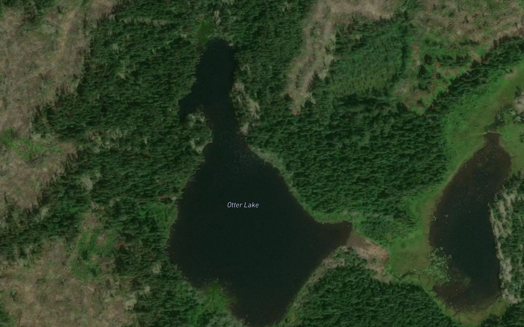 Satellite map of the Otter Lake