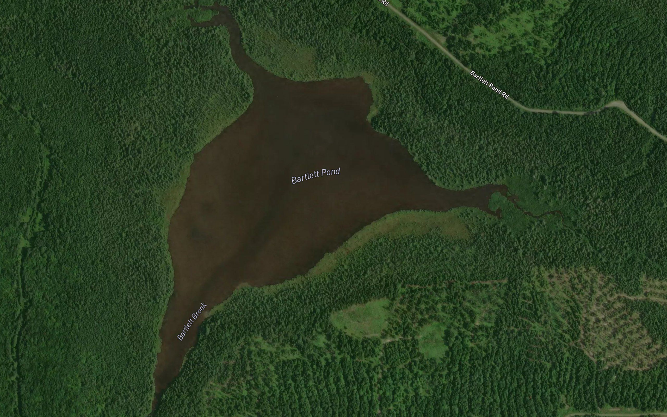 Bartlett Pond