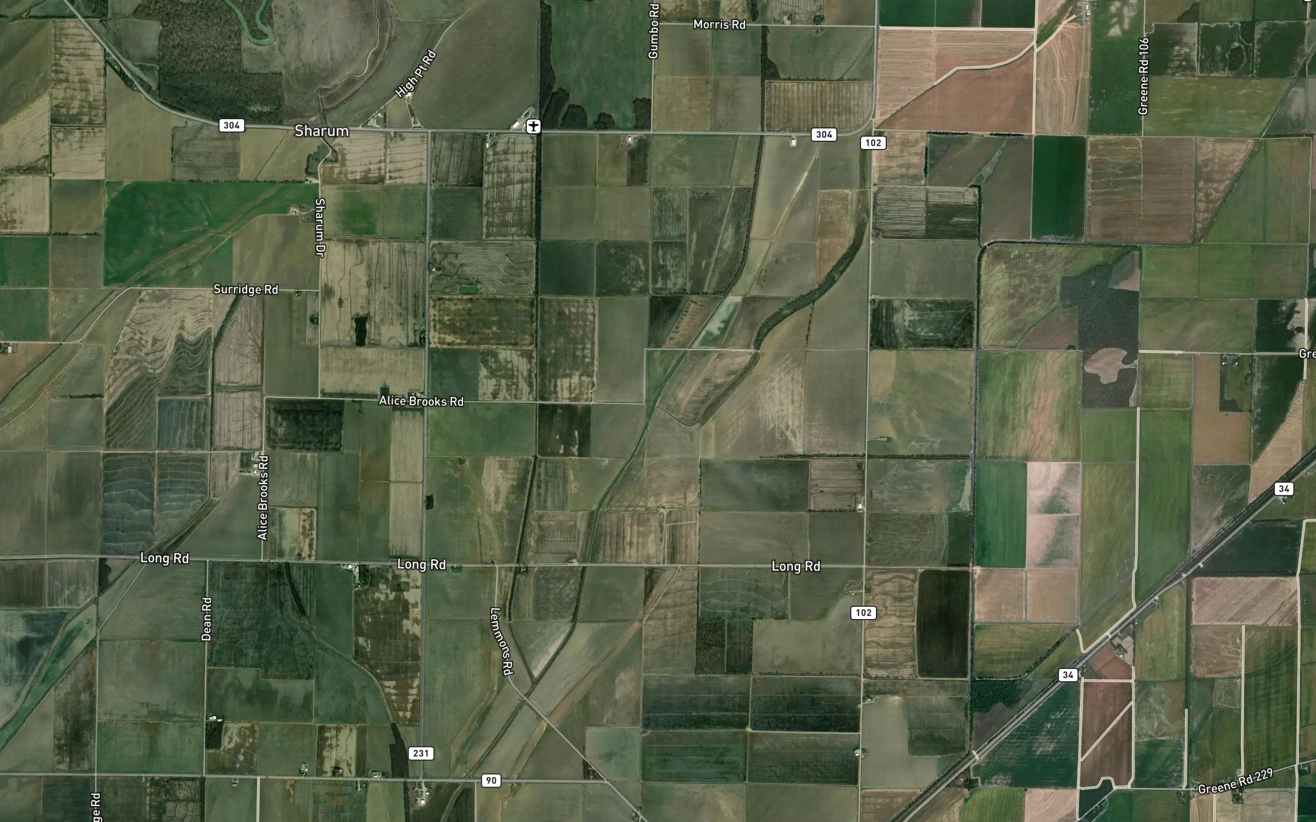 Grassy Slough