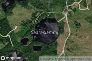 Saareslammi