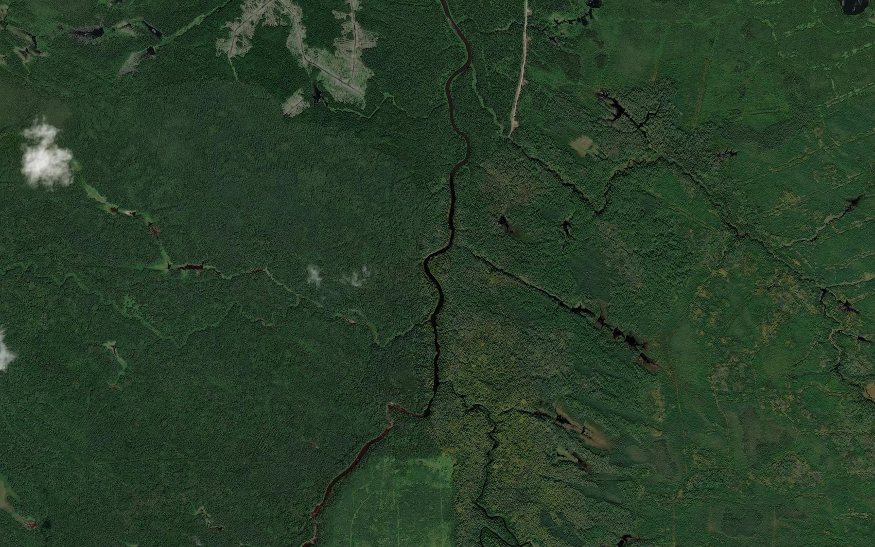 Satellite map of the Parnell Creek