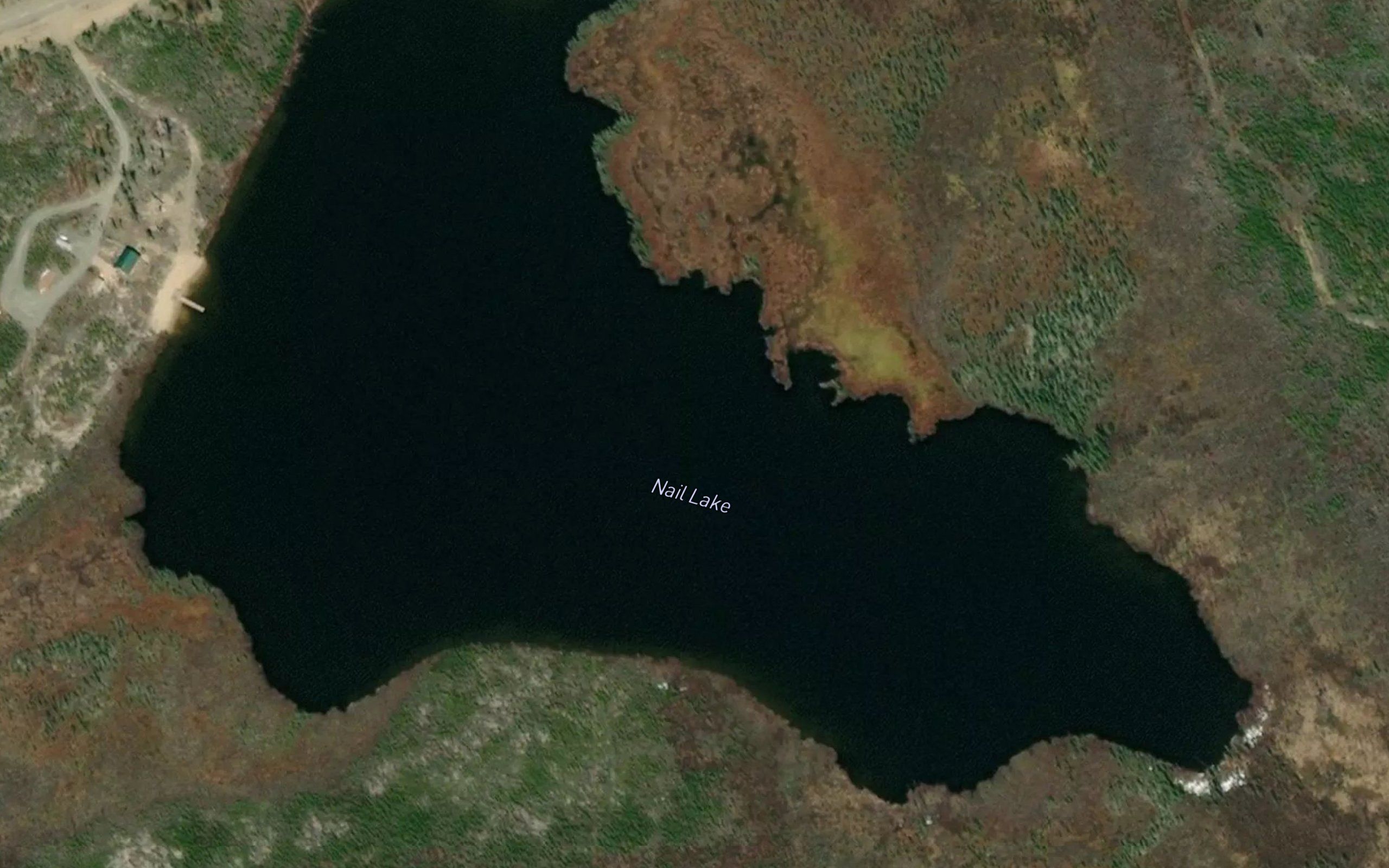 Nail Lake