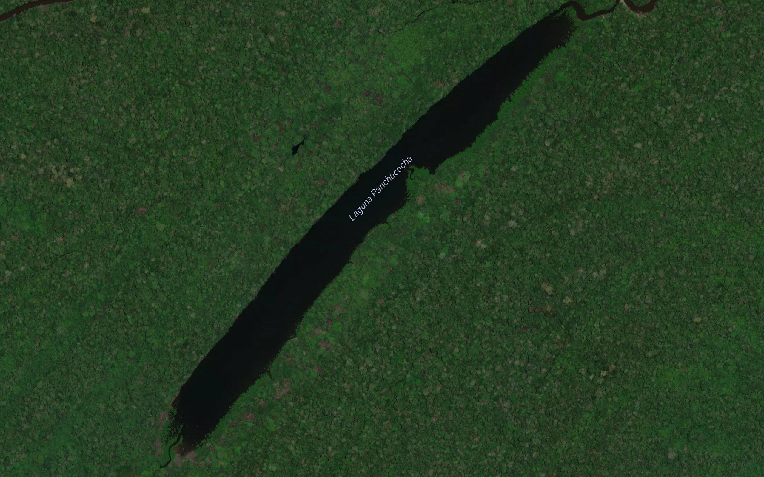Laguna Panchococha
