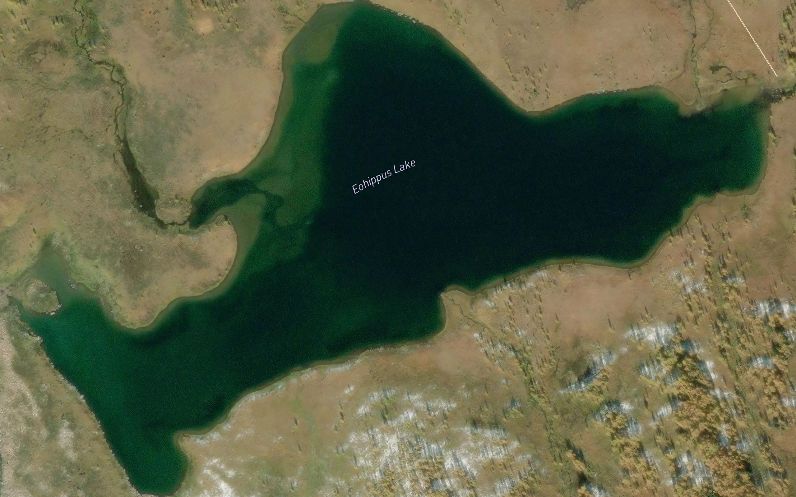 Eohippus Lake