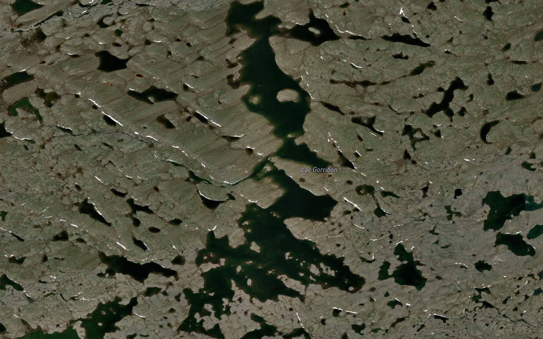 Satellite map of the Lac Gorribon