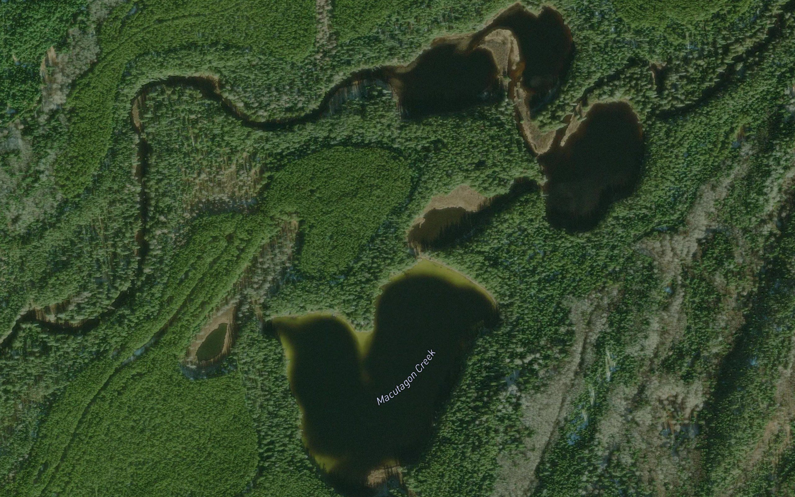 Macutagon Ponds