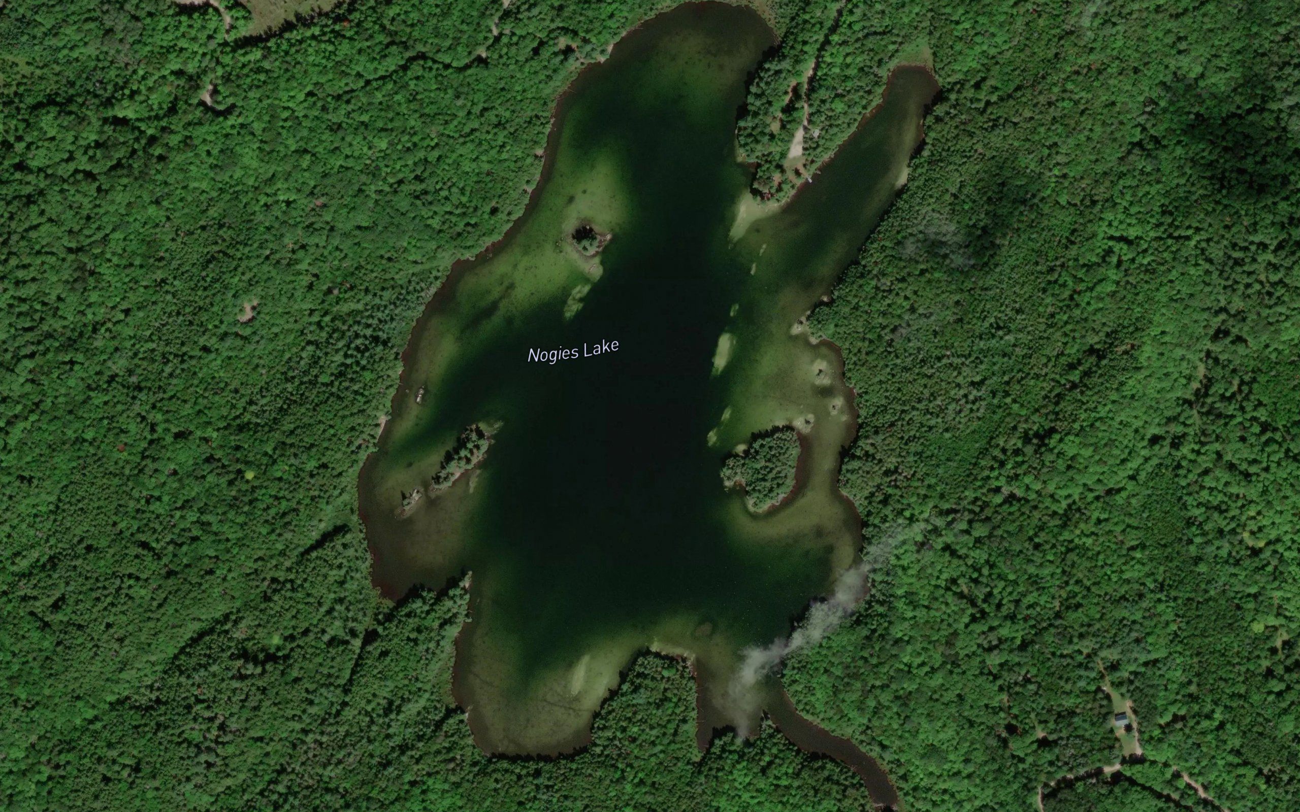Nogies Lake