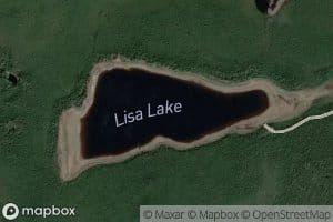 Lisa Lake