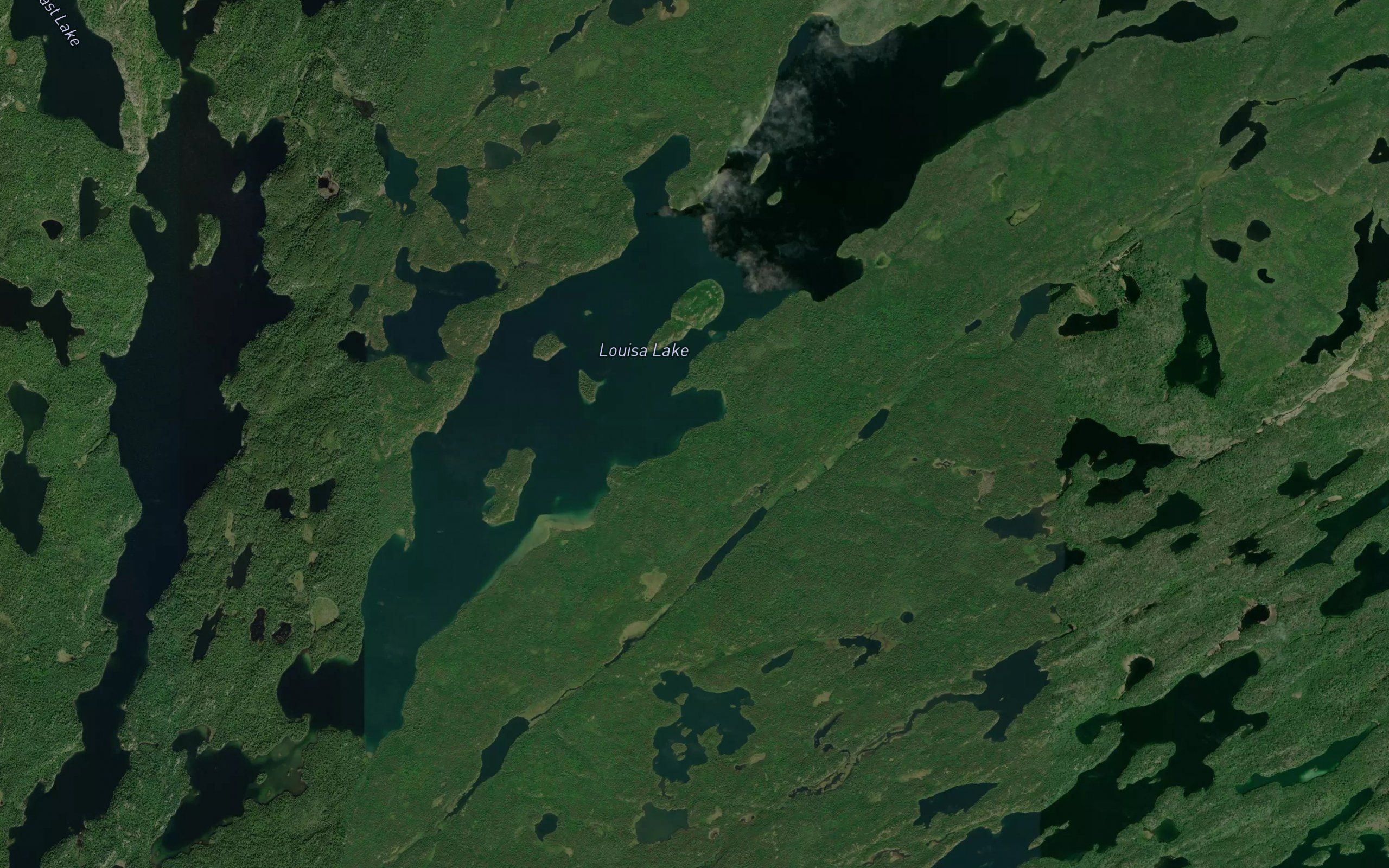 Louisa Lake