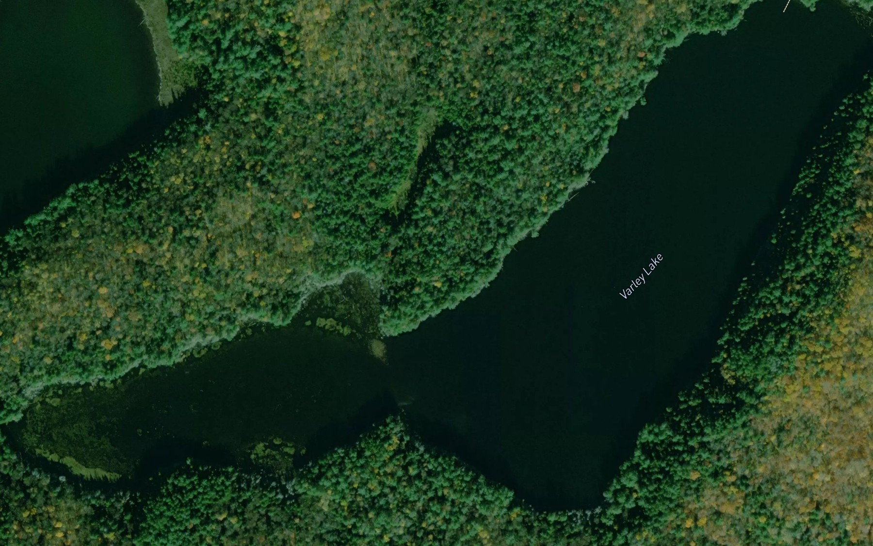 Satellite map of the Varley Lake