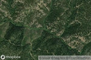 East Fork Bertie Creek