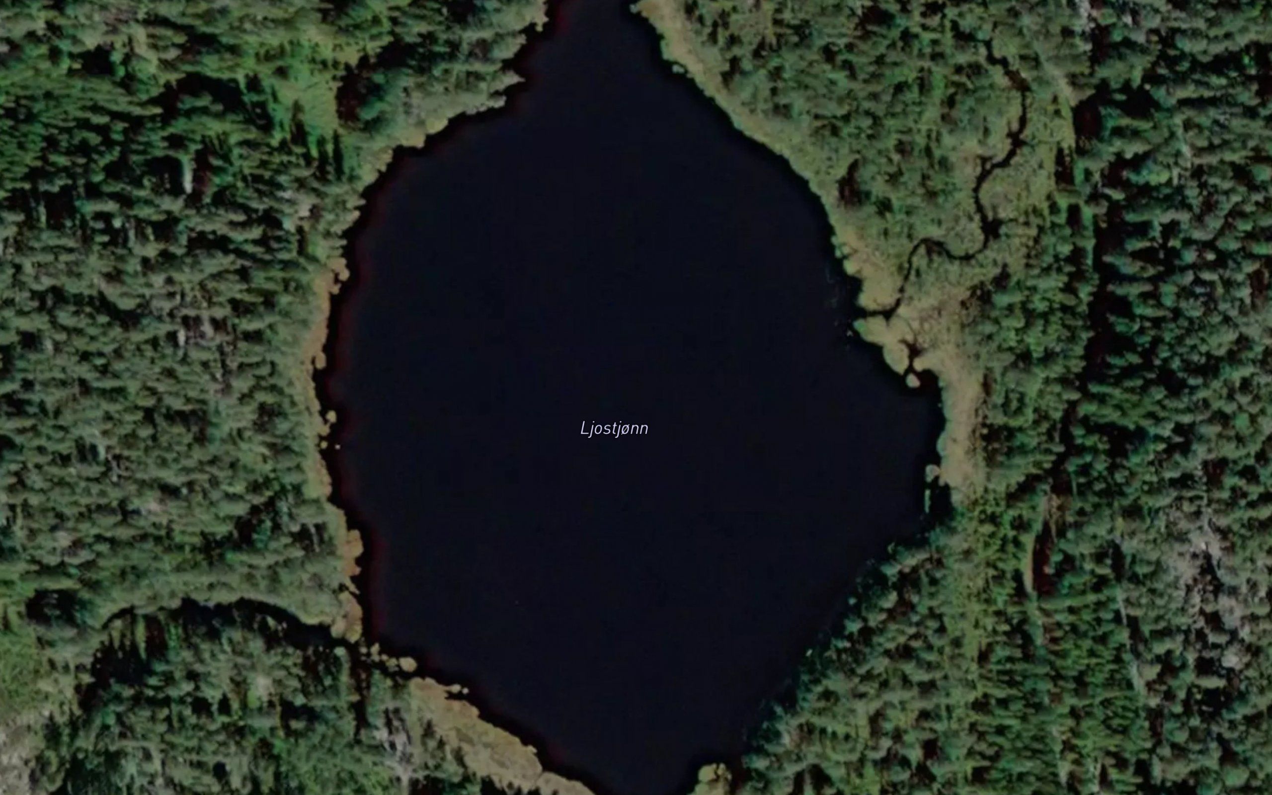 Ljostjorn