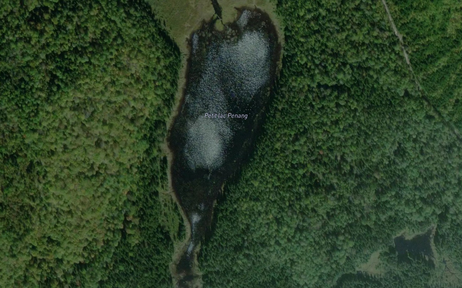 Satellite map of the Petit lac Penang