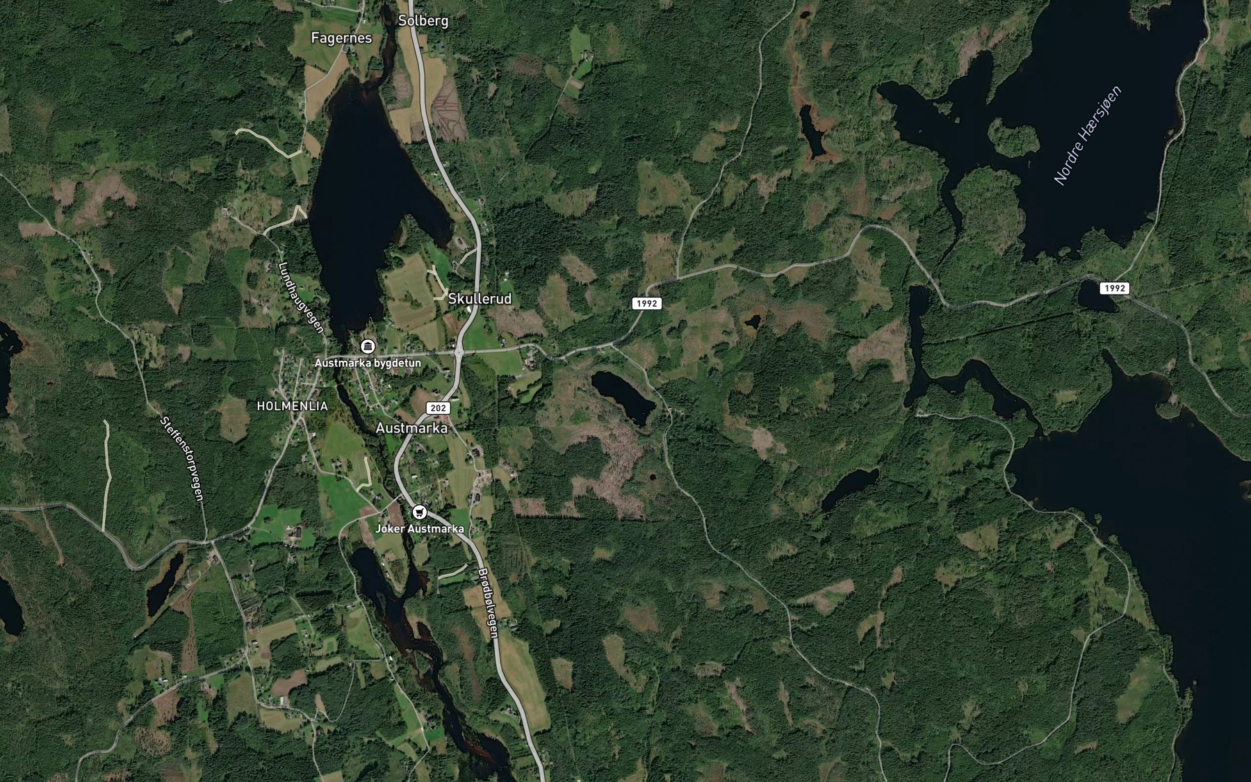 Satellite map of the Damtjern