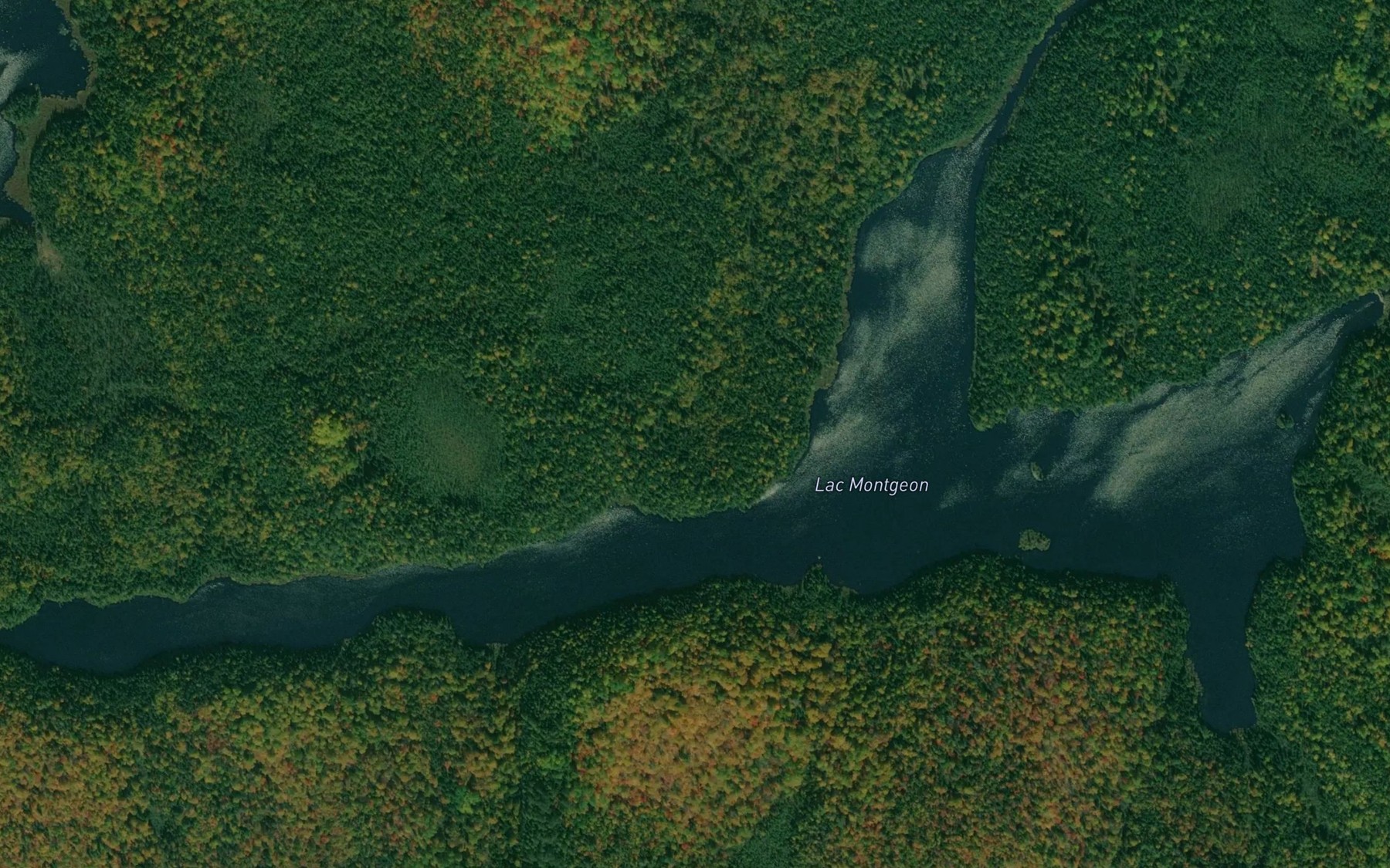 Satellite map of the Lac Montgeon