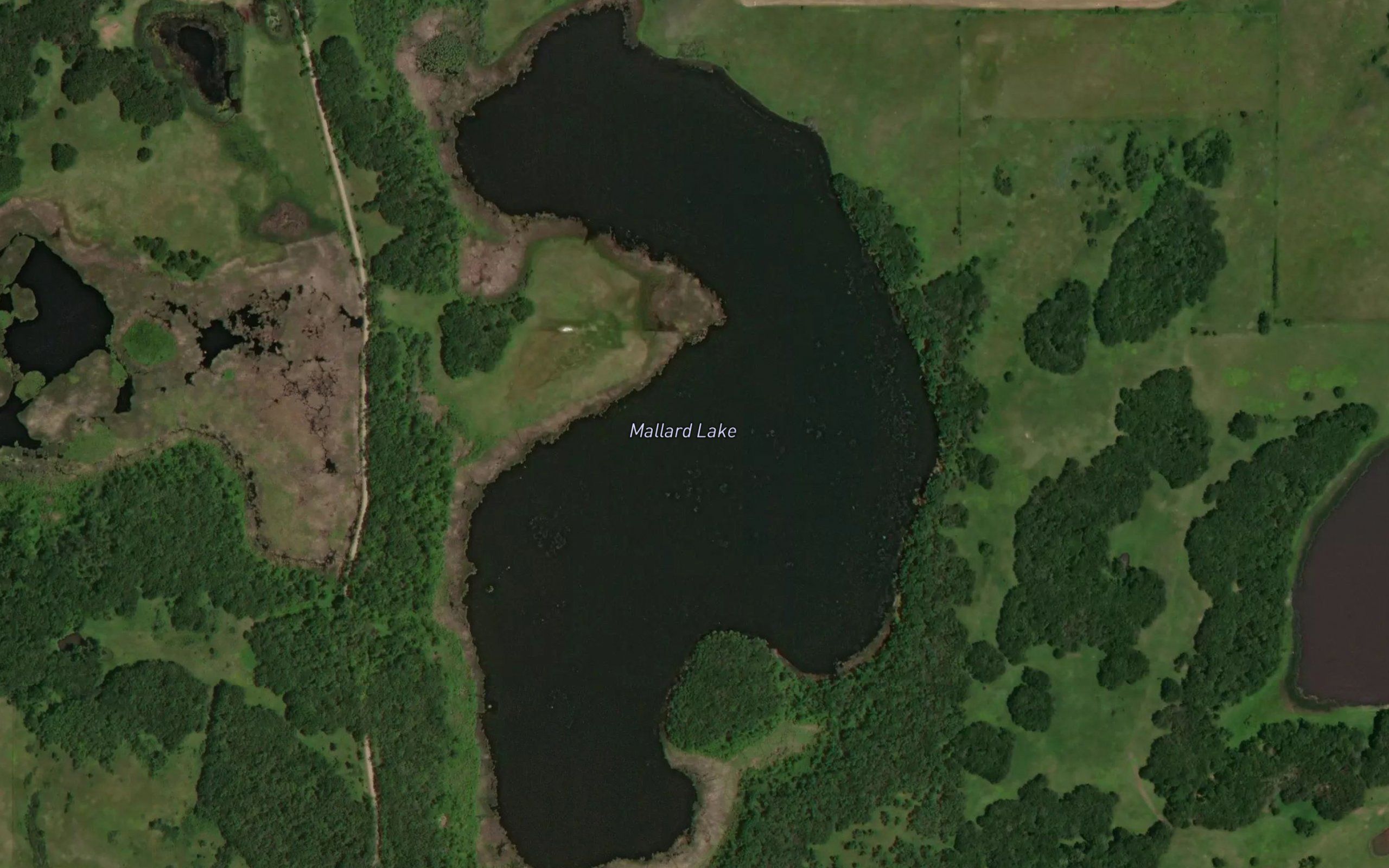 Mallard Lake