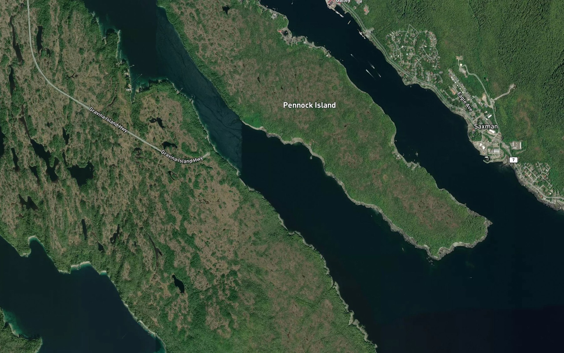 Satellite map of the Tongass Narrow
