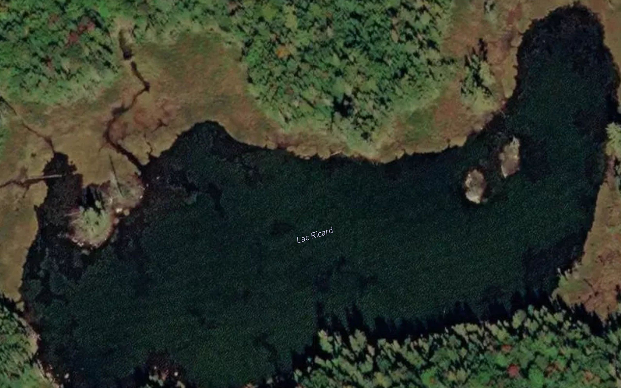 Lac Ricard
