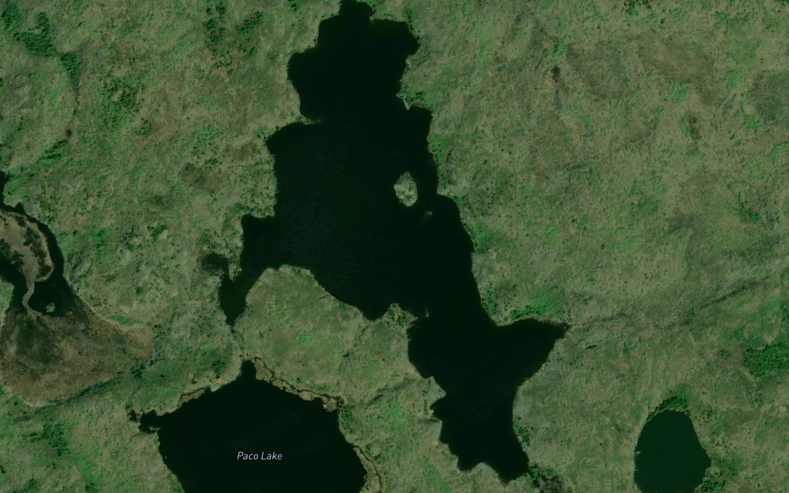 Cook County Lake