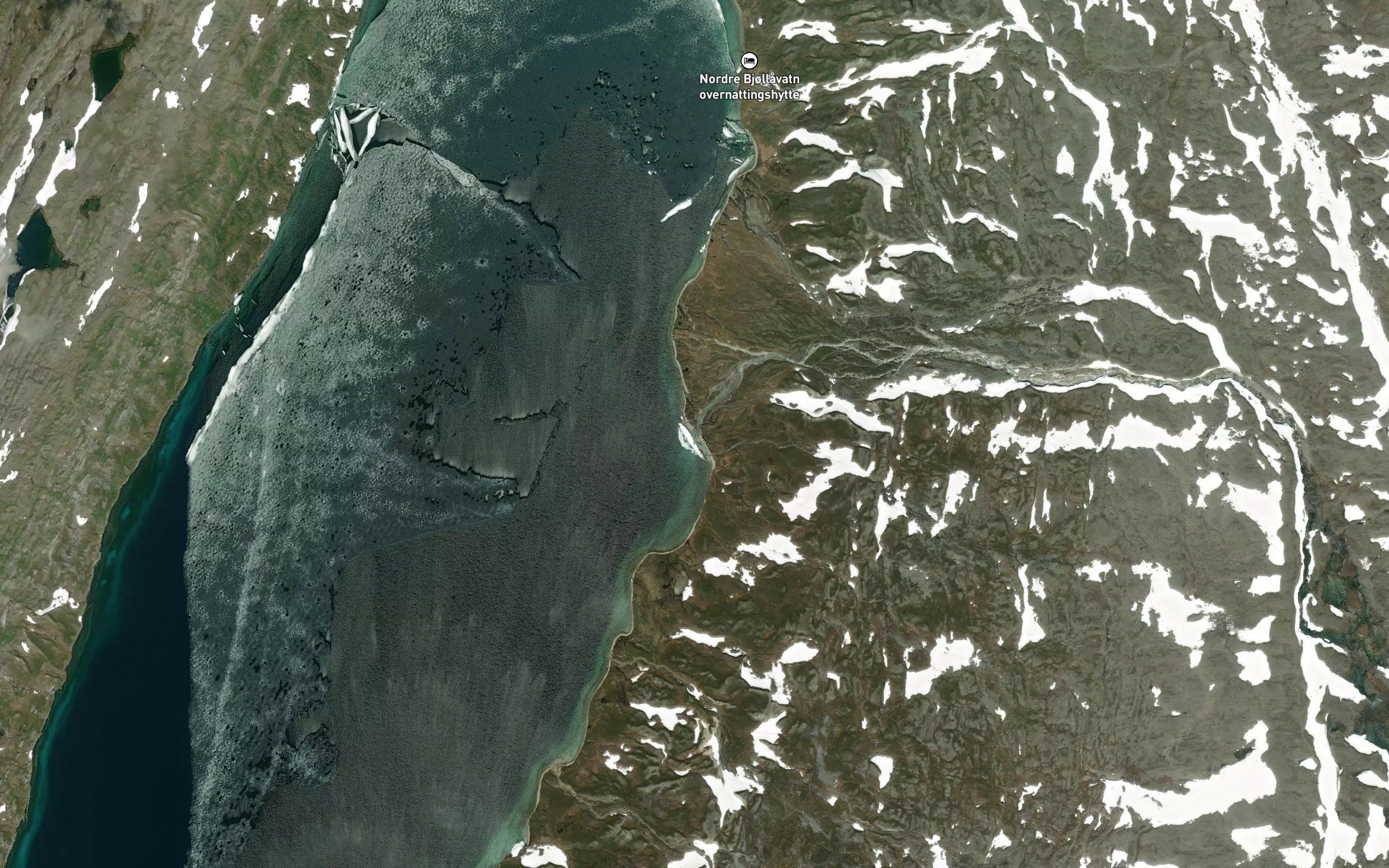 Vidjeelva
